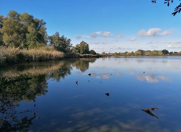 belgium/hainaut/attraction/marais-d-harchies