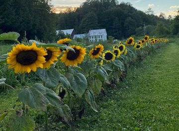 vermont/molly-falls-state-park/attraction/hoolie-flats-farm