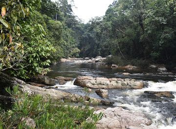 malaysia/taman-negara-national-park/attraction/lata-berkoh