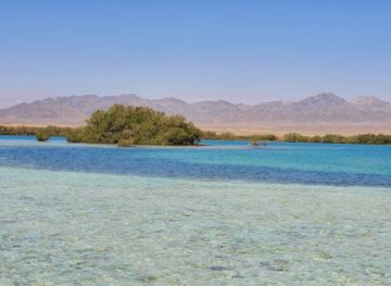 egypt/red-sea-coast/attraction/nabq-nature-reserve