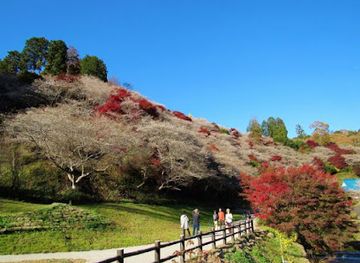 japan/chubu/attraction/obara-fureai-park