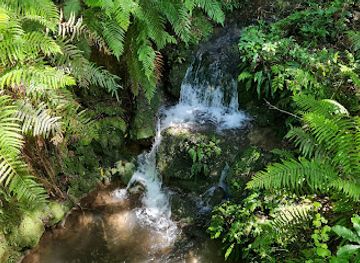 new-zealand/hawke-s-bay/attraction/white-pine-bush-scenic-reserve