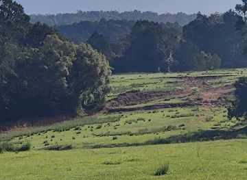 kenya/mount-kenya/attraction/kibuthu-s-family-farm