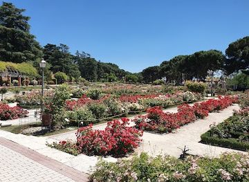 spain/madrid/attraction/parque-del-oeste