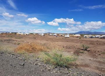 ethiopia/danakil-depression/attraction/mile-serdo-wildlife-reserve