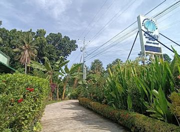 philippines/siquijor/attraction/marelle-s-seashell-museum