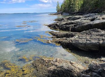 maine/hancock-county/attraction/carter-s-beach