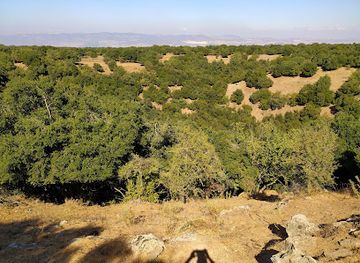 israel/golan-heights/attraction/big-jupta