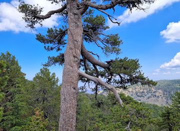 cyprus/troodos-mountains/attraction/mount-olympus-stone-cairns