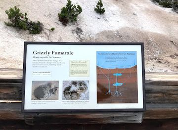 wyoming/yellowstone-national-park/attraction/grizzly-fumarole