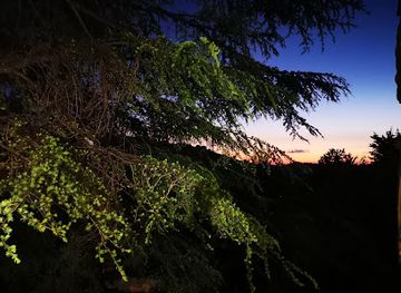 lebanon/horsh-ehden/attraction/mazar-saint-rafqa