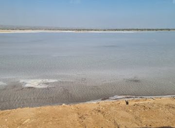 india/rann-of-kutch/attraction/road-to-rann-of-kutch