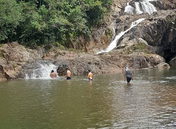 belize/san-ignacio/attraction/noj-kaax-meen-elijio-panti-national-park-visitors-center
