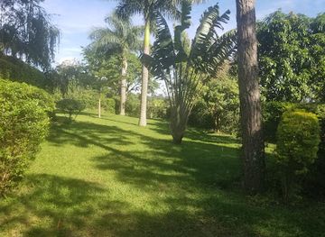 uganda/queen-elizabeth-national-park/attraction/equator-view-safari-lodge-victoria-gardens