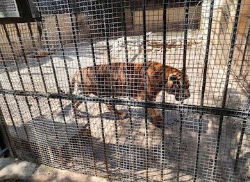 algeria/hodna-mountains/attraction/hamma-zoological-park