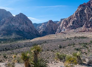 nevada/red-rock-canyon-national-conservation-area/attraction/pine-creek-trailhead