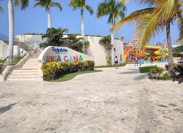 dominican-republic/punta-cana-bavaro/attraction/dolphin-discovery-punta-cana