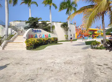 Dolphin Discovery Punta Cana