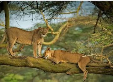 kenya/nakuru/attraction/lion-point-lake-nakuru-national-park