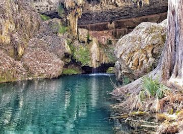 texas/hill-country/attraction/westcave-outdoor-discovery-center