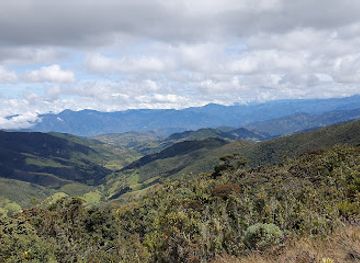colombia/pasto/attraction/paramo-de-los-frailejones-cabrera-narino