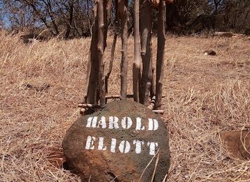 madagascar/antsiranana/attraction/baobab-harold-eliott-a-suarezensis