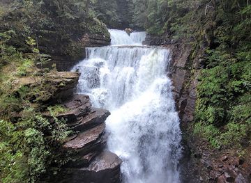 australia/tasmania/attraction/d-alton-falls