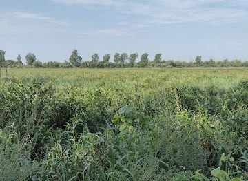 iowa/loess-hills/attraction/nobles-lake