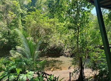 costa-rica/jaco/attraction/royal-butterflies