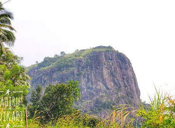 sri-lanka/kegalle-district/attraction/bathalegala