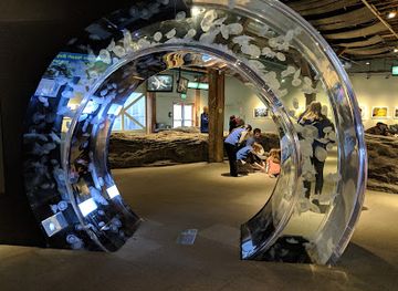 washington/seattle/attraction/seattle-aquarium