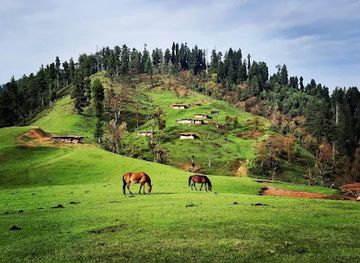 india/pahalgam/attraction/bugmad-top-lehandagen-wallarhama-pahalgam