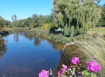 Herbų piešiniai po tiltu