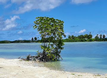 maldives/seenu-atoll/attraction/moolekede-mizaan