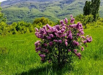 bulgaria/sofia-valley/attraction/botanical-garden