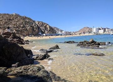 mexico/cabo-san-lucas/attraction/playa-coral-negro