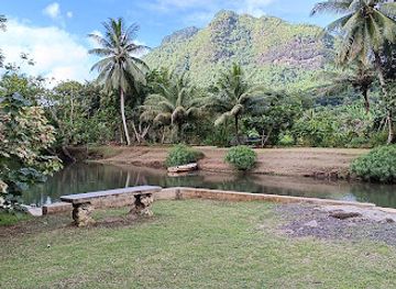 french-polynesia/raiatea/attraction/de-raiatea-botanical-garden