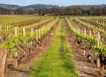 australia/barossa-valley/attraction/kaesler-wines