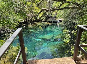 dominican-republic/punta-cana/attraction/indigenous-eyes-ecological-reserve