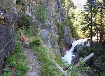 austria/hohe-tauern-national-park/attraction/steinerfall