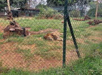 kenya/nairobi/attraction/nairobi-orphanage