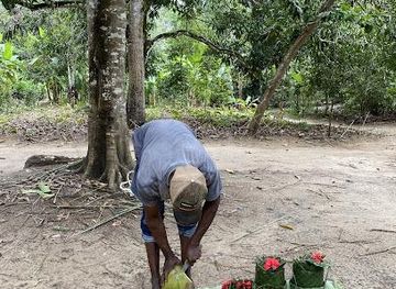 tanzania/zanzibar-city/attraction/to-the-hill-kidichi-spice-farms