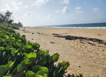 puerto-rico/isabela/attraction/shore-island-beach