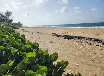 Shore Island Beach