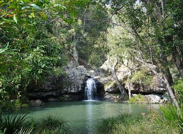 australia/sunshine-coast/attraction/kondalilla-national-park