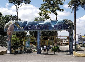 ecuador/pastaza-region/attraction/parque-acuatico-morete-puyo