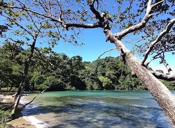 panama/colon/attraction/playas-de-portobelo-venas-azules-playa-blanca-huerta