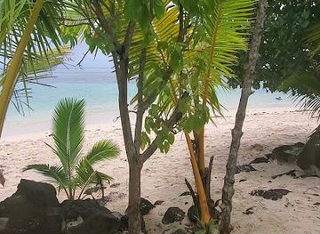 samoa/savai-i/attraction/lovine-beach-fales