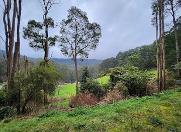 australia/yarra-valley/attraction/dandenong-ranges-national-park