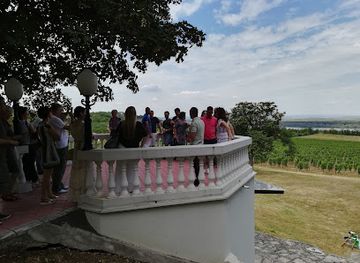 serbia/branicevo/attraction/vila-dinastije-obrenovic